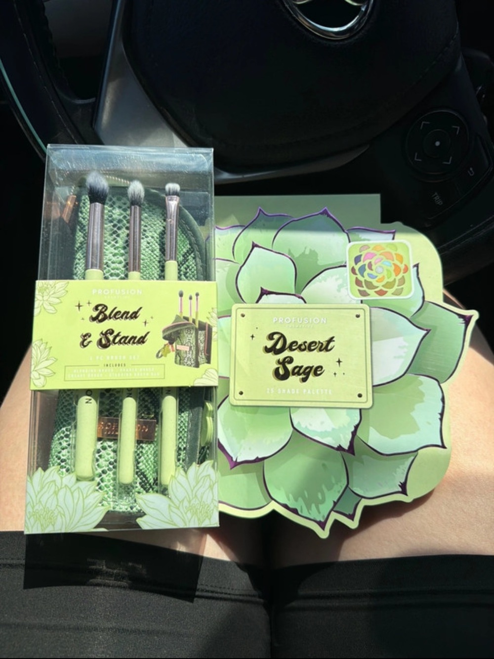 Profusion Cosmetics Desert Sage Palette & Blend Set in Light Green